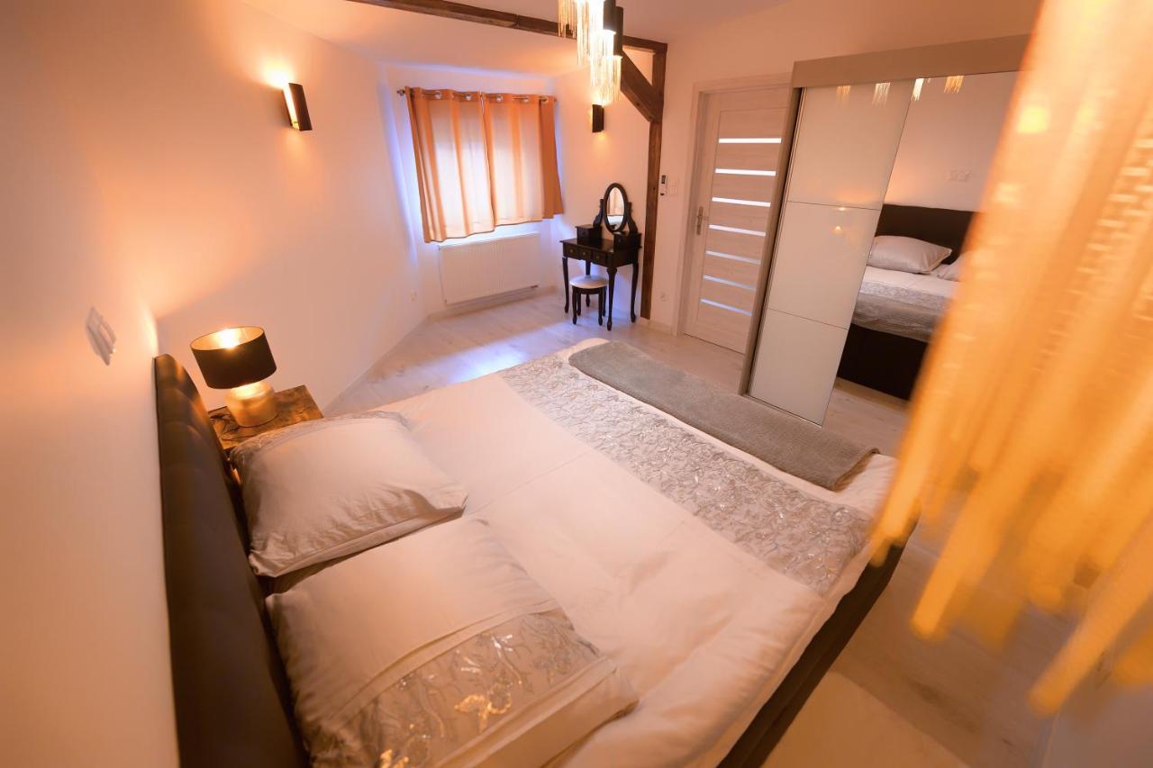 Aparthotel Zabrze, Apartamenty W Centrum Z Prywatnym Parkingiem エクステリア 写真